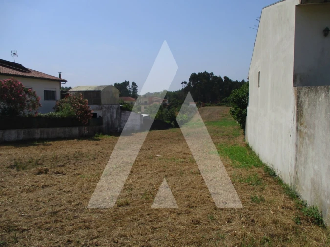 Terreno para Venda em Bustos, Troviscal e Mamarrosa Foto 6