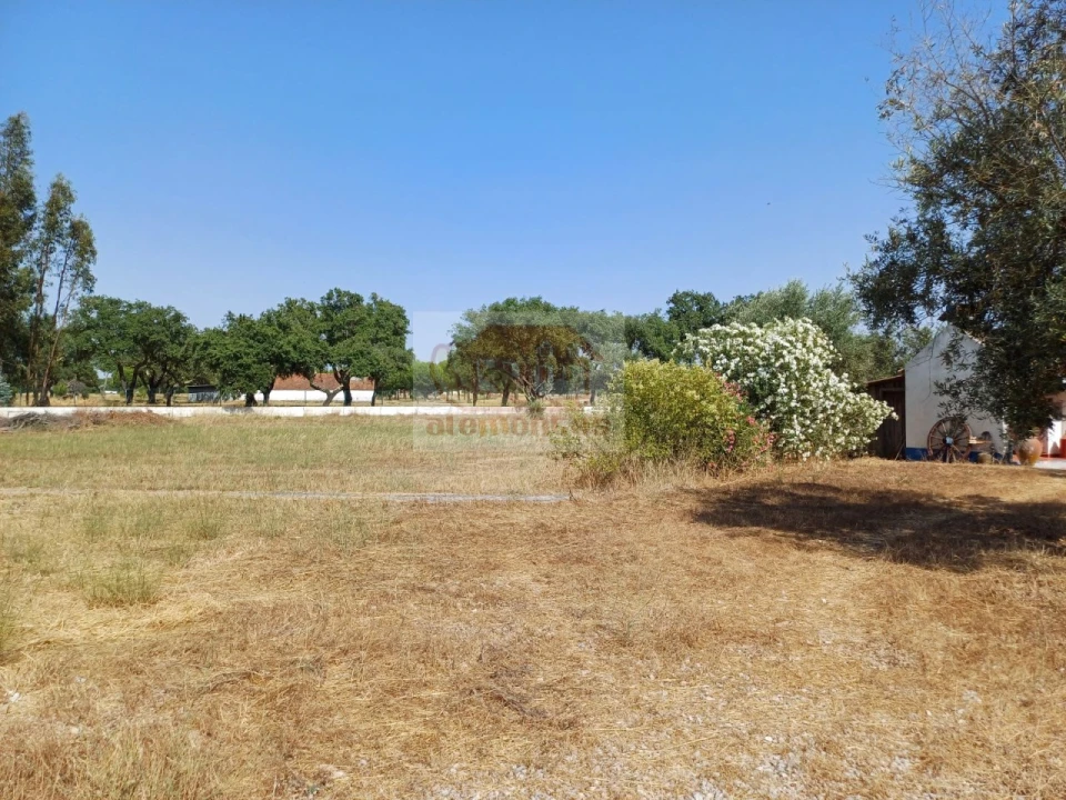 Quinta T3 para Venda em Grândola e Santa Margarida da Serra Foto 5