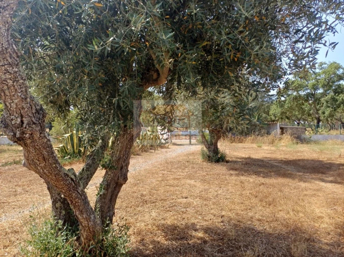 Quinta T3 para Venda em Grândola e Santa Margarida da Serra Foto 6