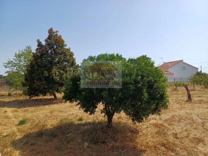Quinta T3 para Venda em Grândola e Santa Margarida da Serra Foto 11