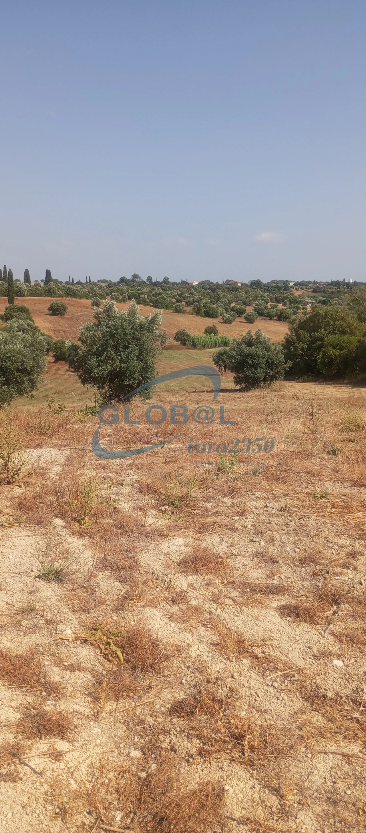 Terreno para Venda em Brogueira, Parceiros de Igreja e Alcorochel Foto 3
