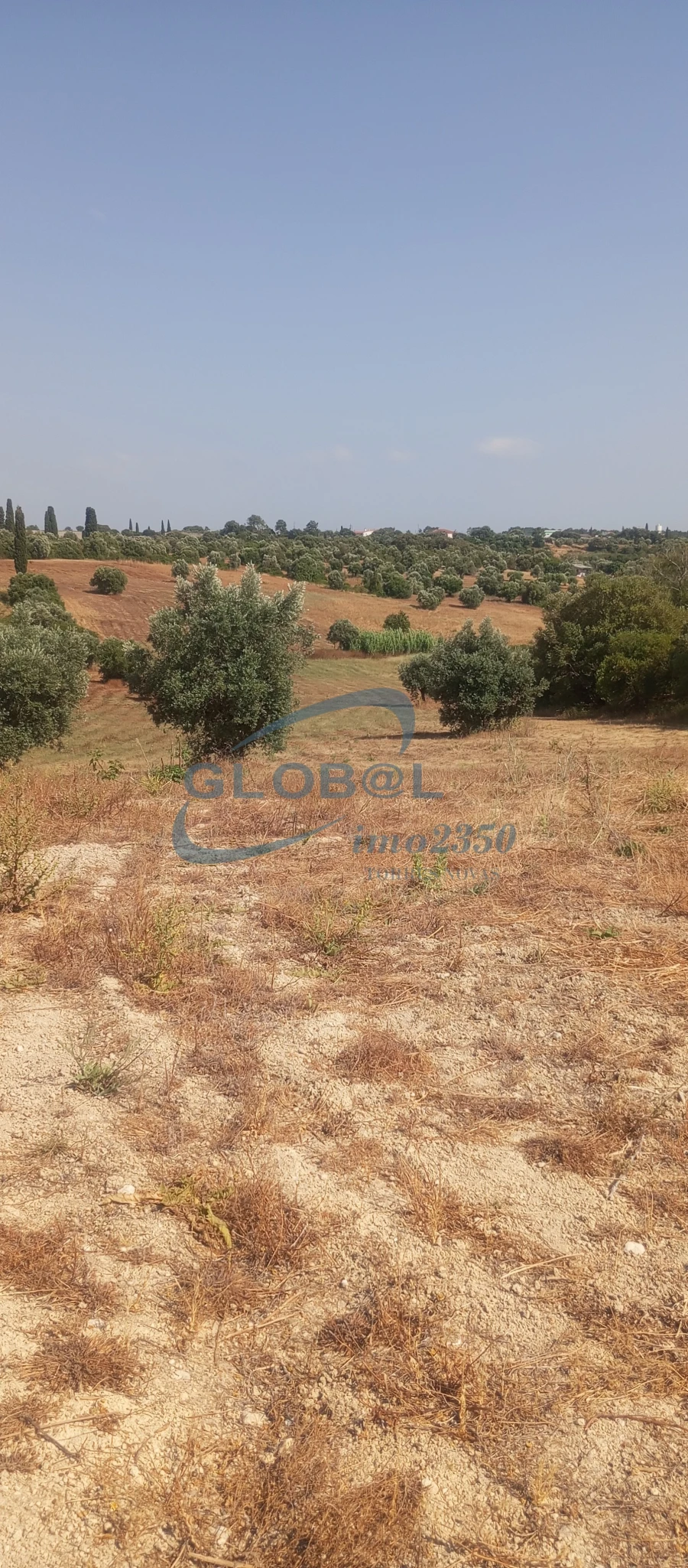 Terreno para Venda em Brogueira, Parceiros de Igreja e Alcorochel Foto 3