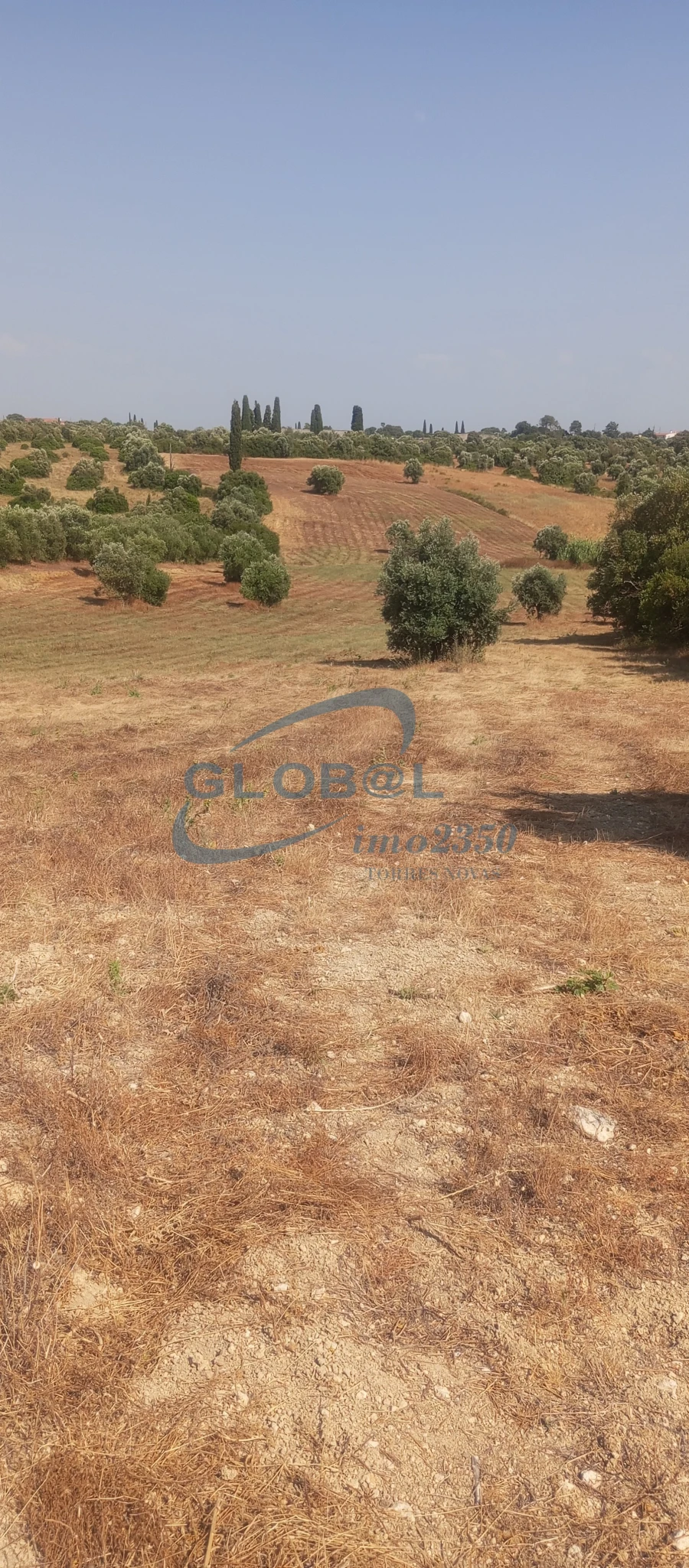 Terreno para Venda em Brogueira, Parceiros de Igreja e Alcorochel Foto 1