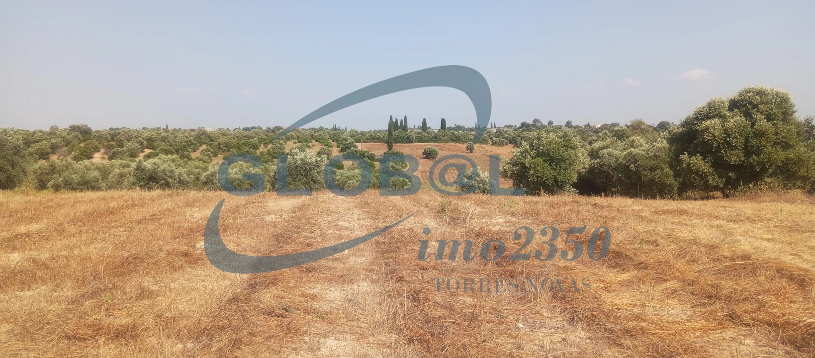 Terreno para Venda em Brogueira, Parceiros de Igreja e Alcorochel Foto 5