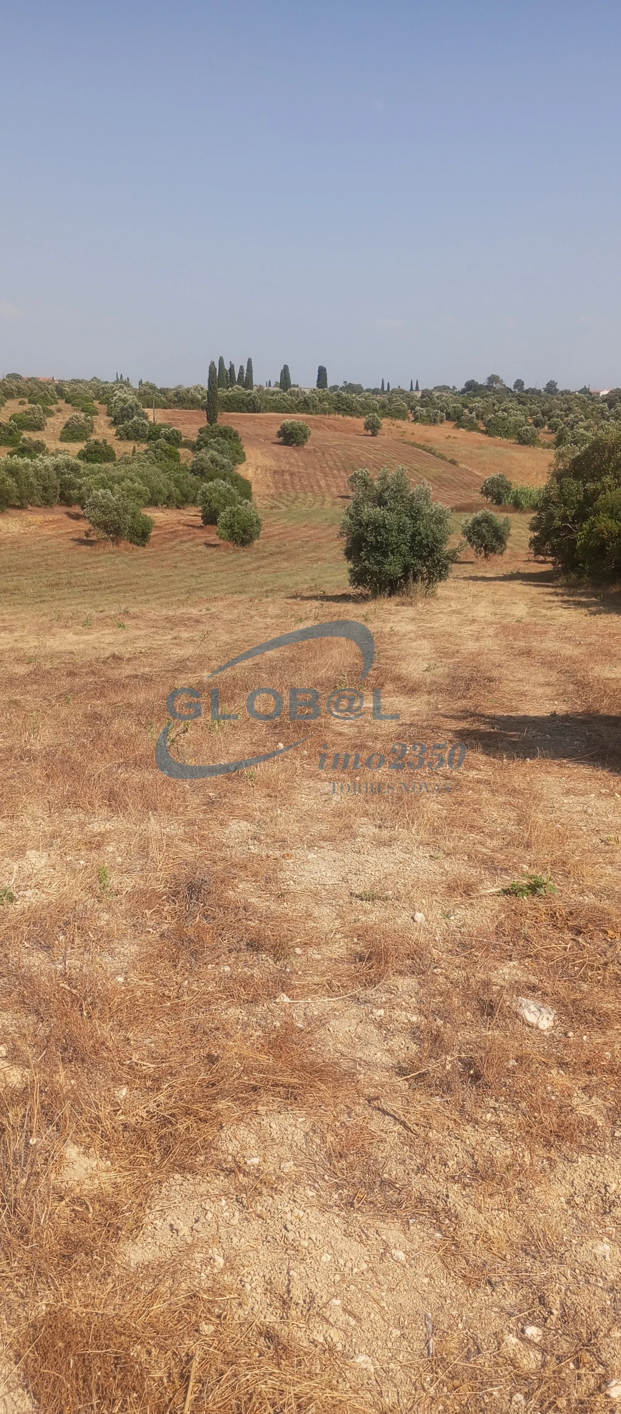 Terreno para Venda em Brogueira, Parceiros de Igreja e Alcorochel Foto 1