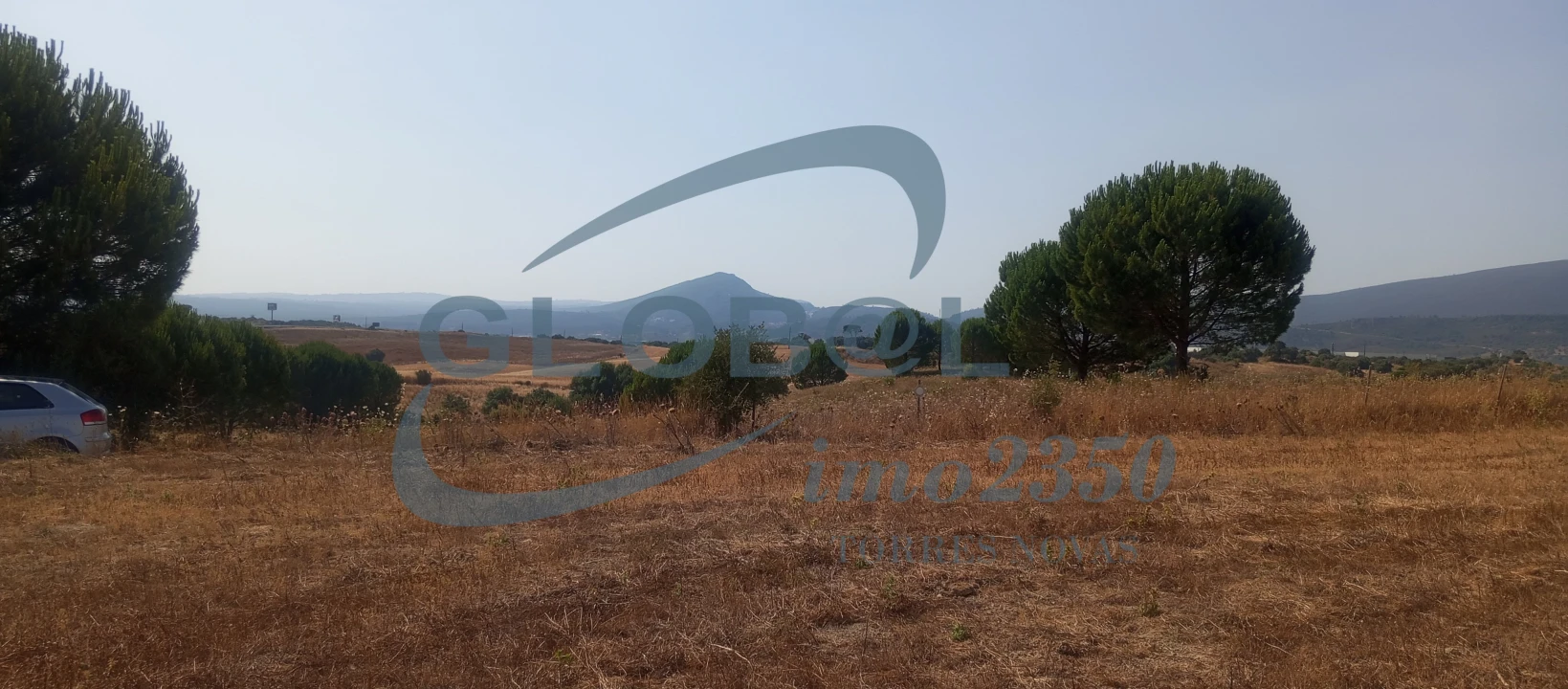 Terreno para Venda em Brogueira, Parceiros de Igreja e Alcorochel Foto 4