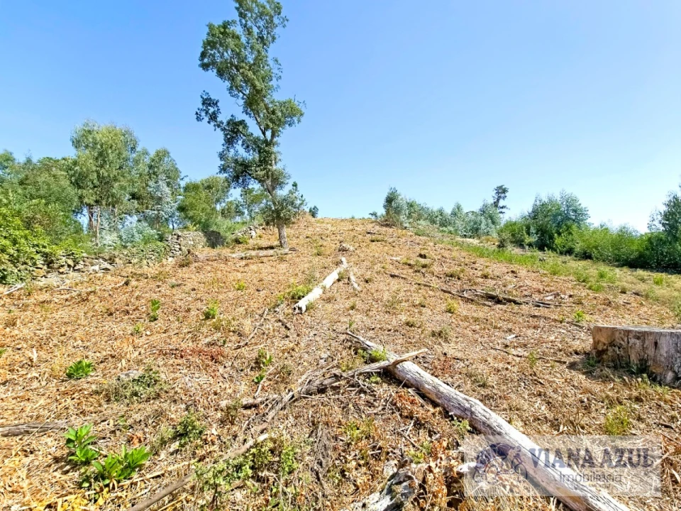 Terreno para Venda em Santa Maria Maior e Monserrate e Meadela Foto 3