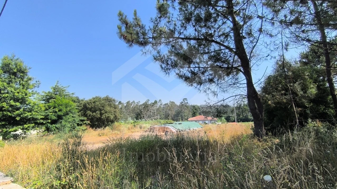 Terreno para Venda em Macieira da Maia Foto 3