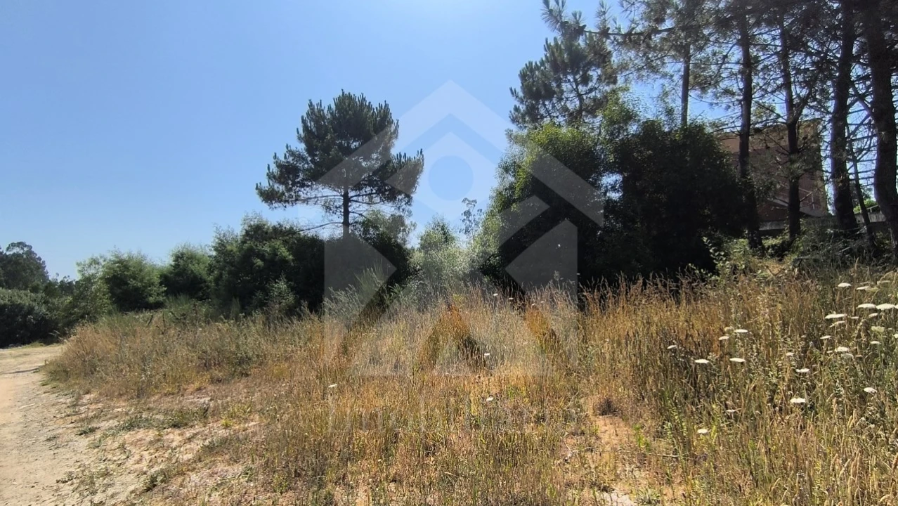 Terreno para Venda em Macieira da Maia Foto 4
