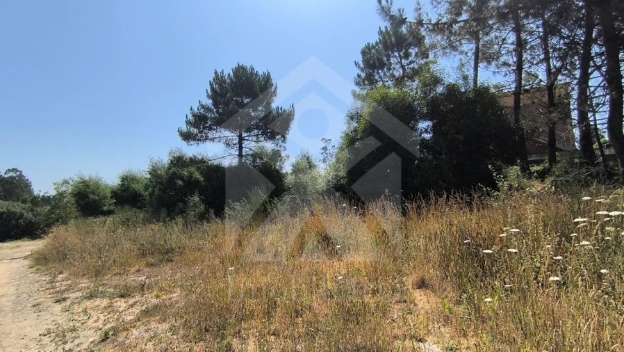 Terreno para Venda em Macieira da Maia Foto 4