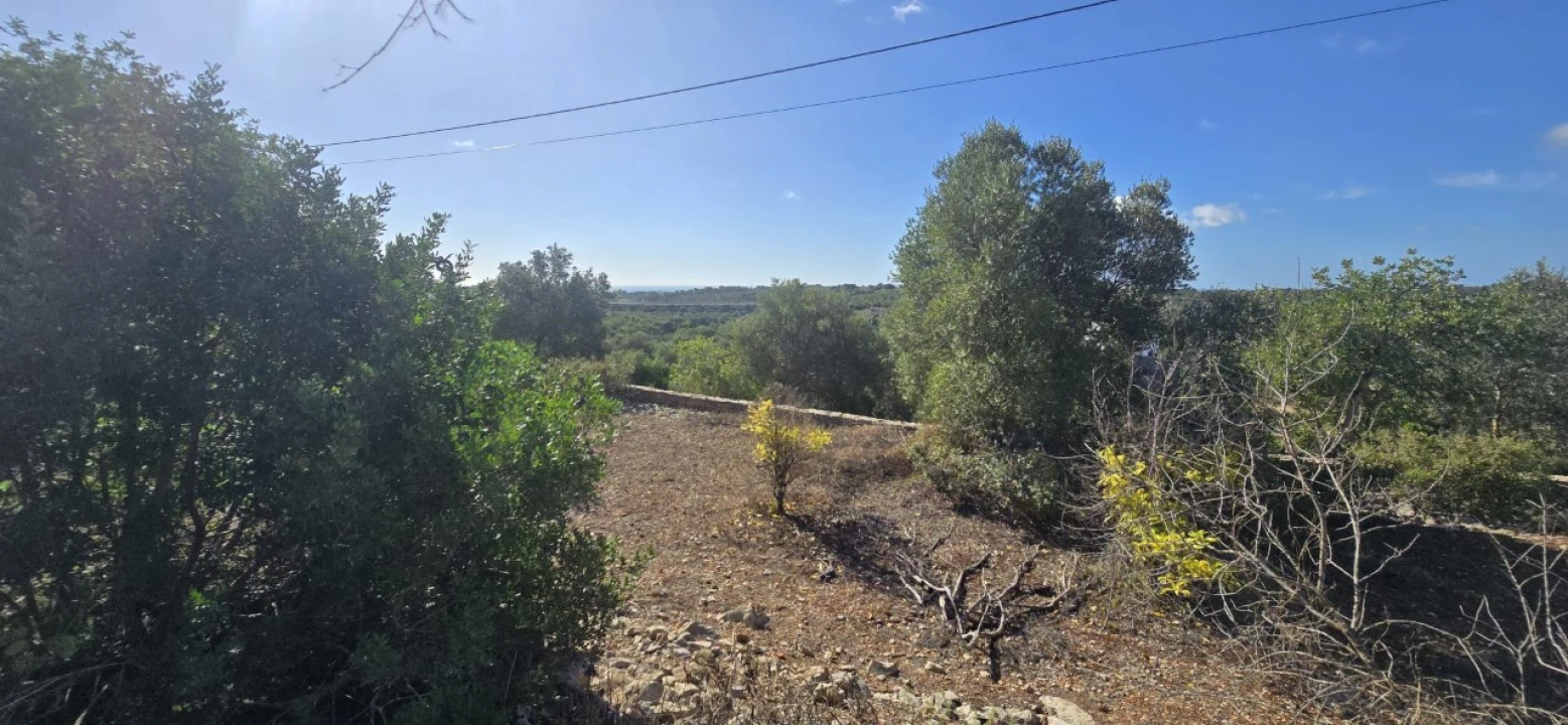 Quinta T3 para Venda em Luz de Tavira e Santo Estêvão Foto 10