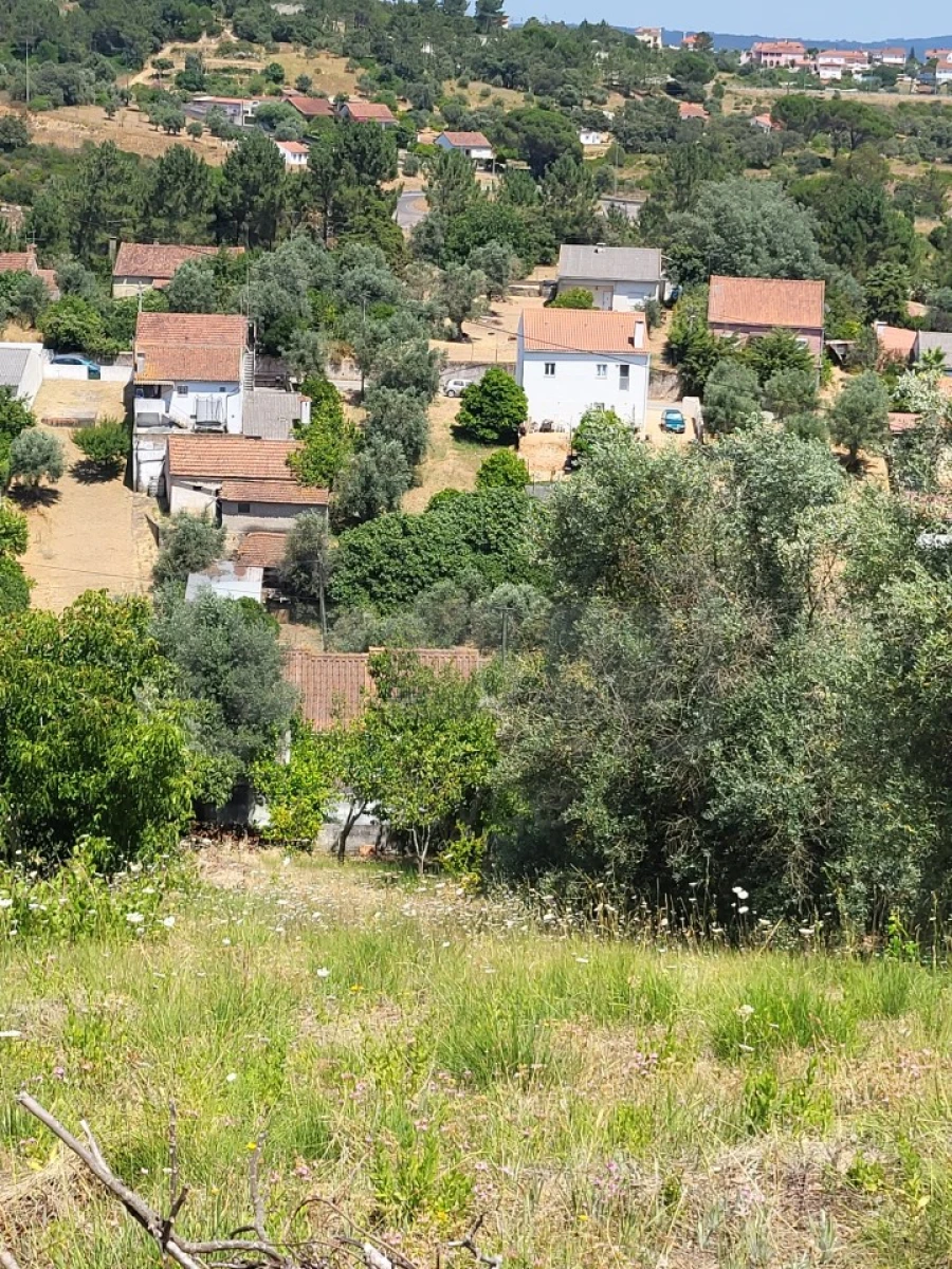 Moradia T3 para Venda em Carregueiros Foto 23