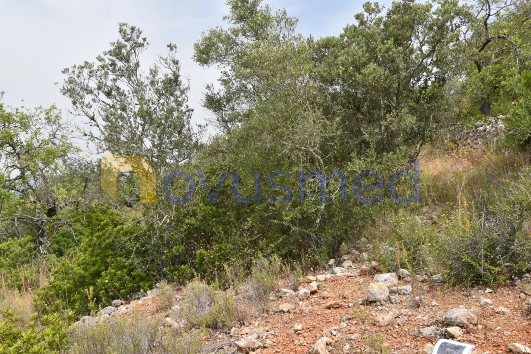Terreno Agricola ou Rústico para Venda em Paderne Foto 5