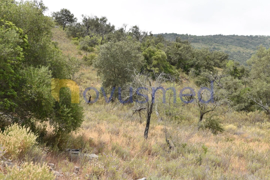 Terreno Agricola ou Rústico para Venda em Paderne Foto 7