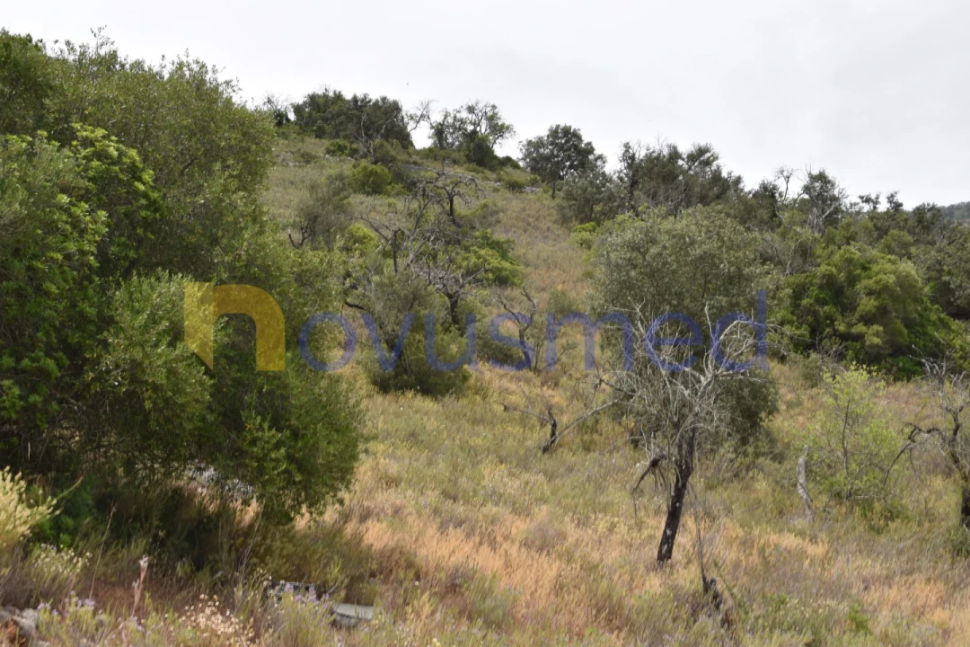 Terreno Agricola ou Rústico para Venda em Paderne Foto 8