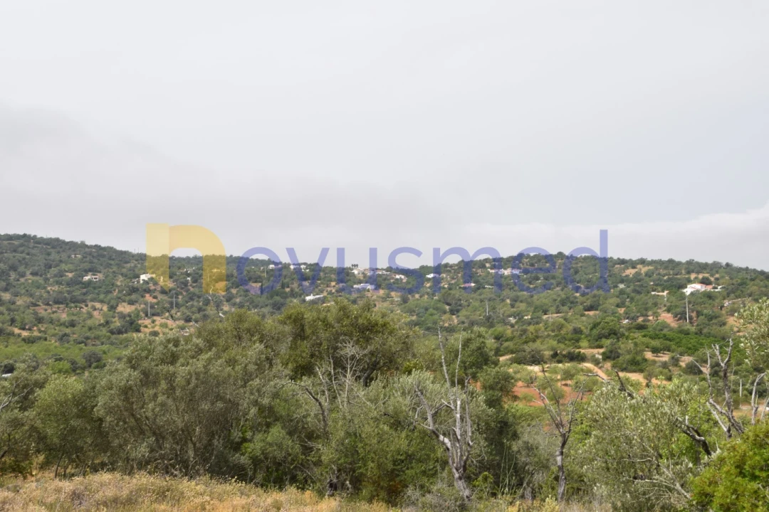 Terreno Agricola ou Rústico para Venda em Paderne Foto 1