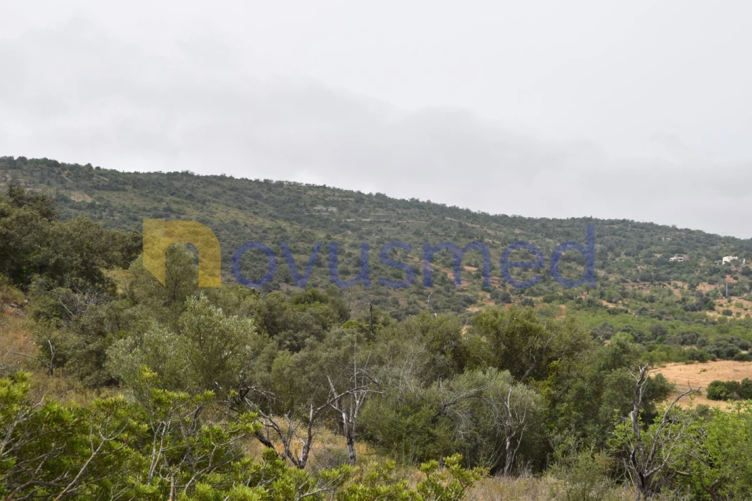 Terreno Agricola ou Rústico para Venda em Paderne Foto 14