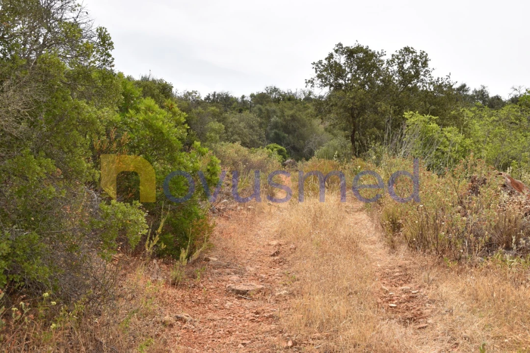 Terreno Agricola ou Rústico para Venda em Paderne Foto 20
