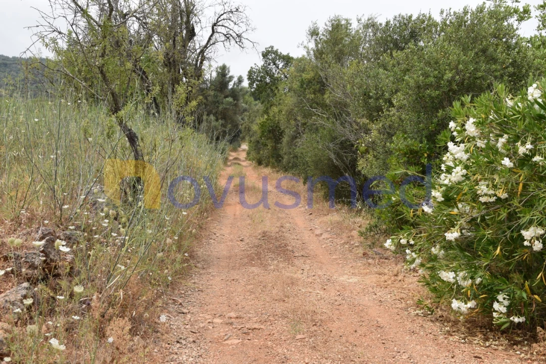 Terreno Agricola ou Rústico para Venda em Paderne Foto 21