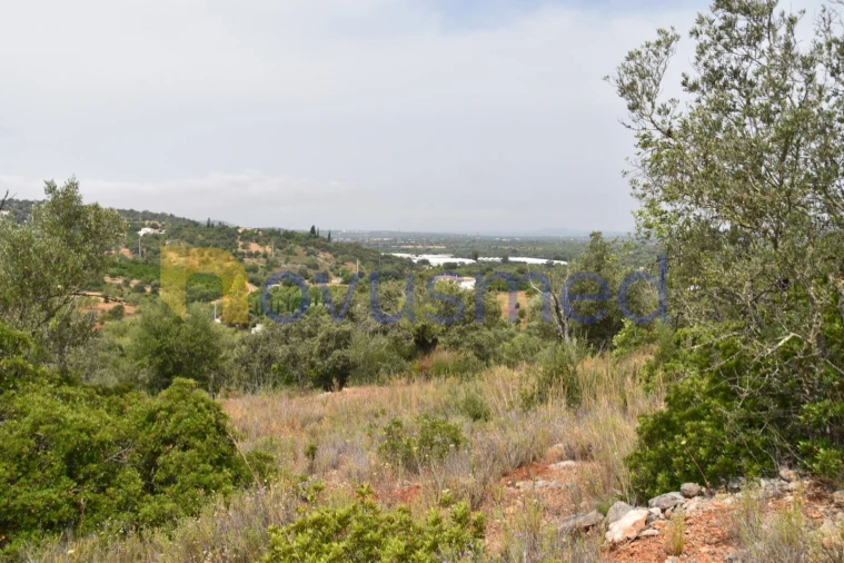 Terreno Agricola ou Rústico para Venda em Paderne Foto 2
