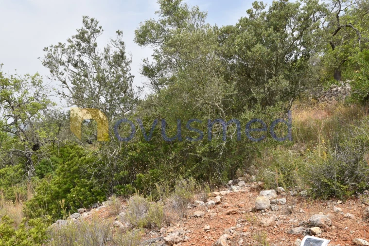 Terreno Agricola ou Rústico para Venda em Paderne Foto 5