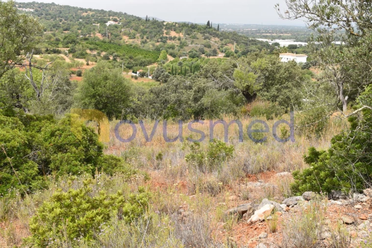 Terreno Agricola ou Rústico para Venda em Paderne Foto 6