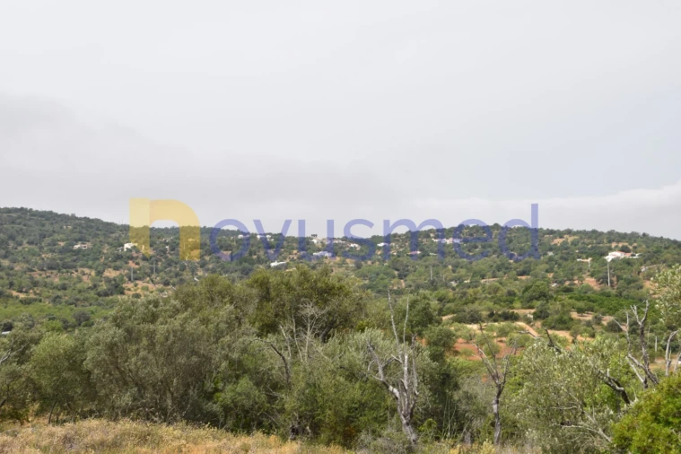 Terreno Agricola ou Rústico para Venda em Paderne Foto 1