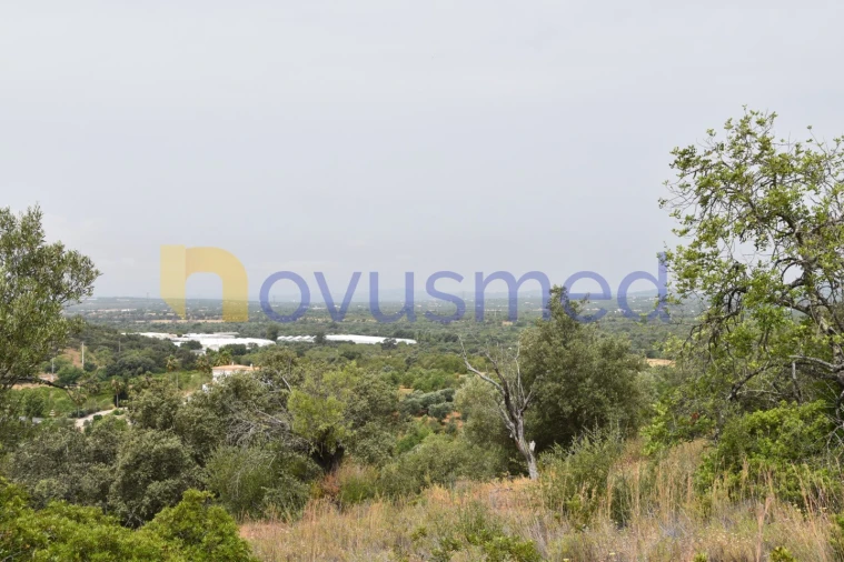 Terreno Agricola ou Rústico para Venda em Paderne Foto 13