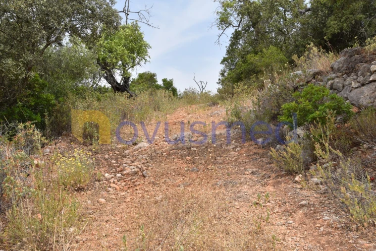 Terreno Agricola ou Rústico para Venda em Paderne Foto 16