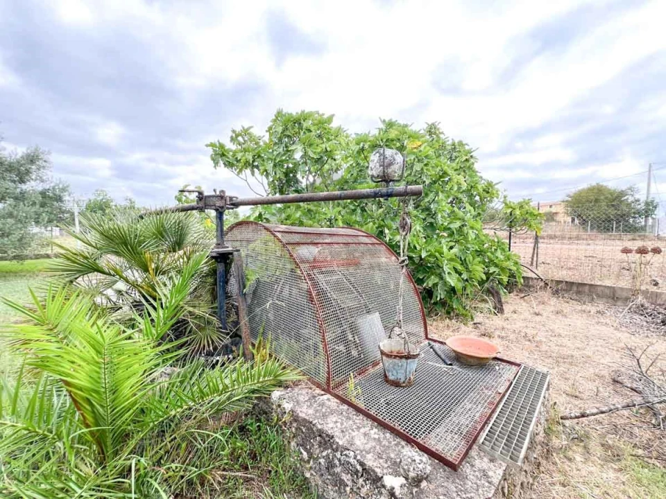 Quinta T2 para Venda em Alvor Foto 50