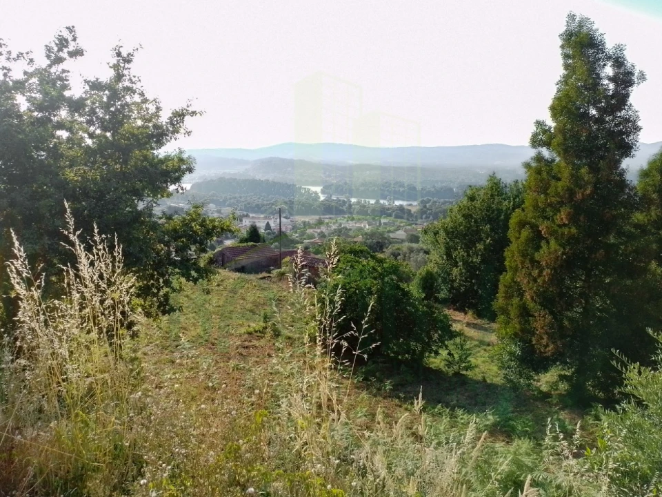 Terreno para Venda em Gondarem Foto 10