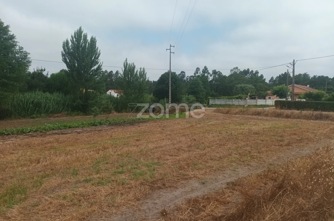 Terreno para Venda em Arazede Foto 3