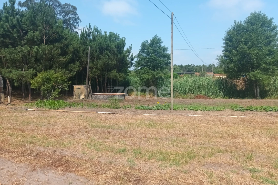 Terreno para Venda em Arazede Foto 4