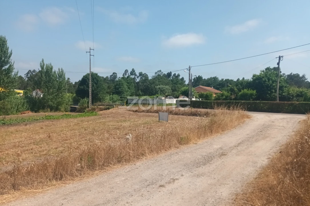 Terreno para Venda em Arazede Foto 7