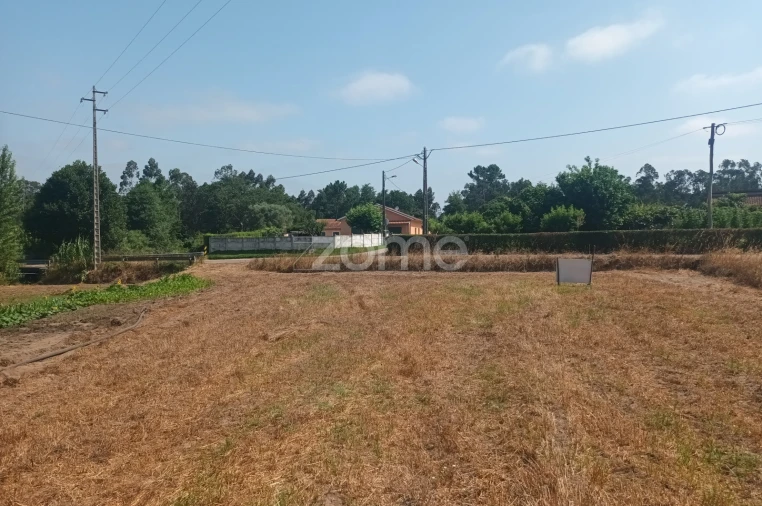 Terreno para Venda em Arazede Foto 5