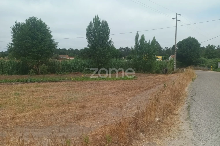 Terreno para Venda em Arazede