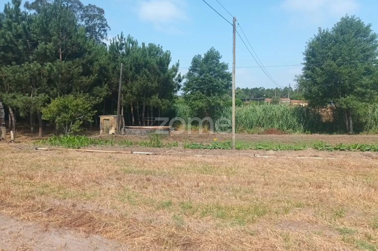 Terreno para Venda em Arazede Foto 4
