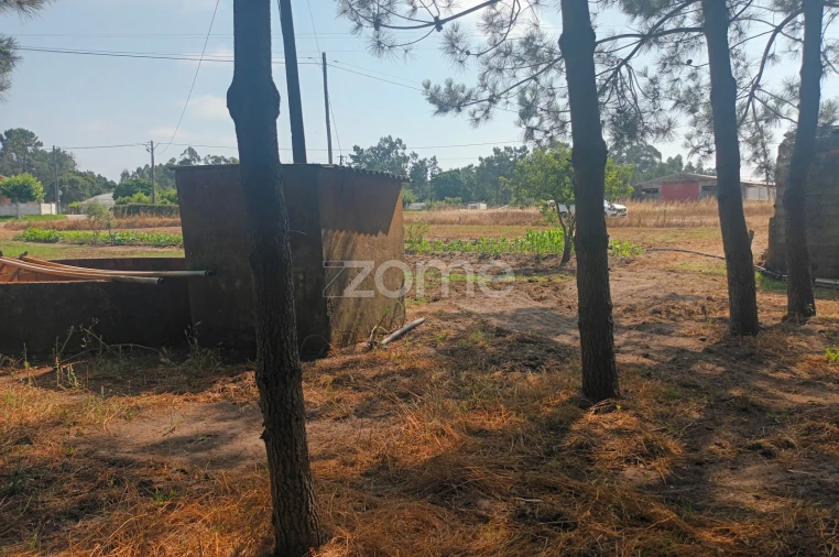 Terreno para Venda em Arazede Foto 8