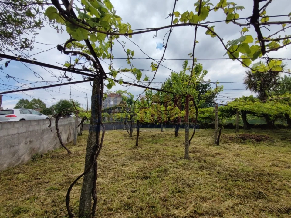 Moradia T2 para Venda em Carreira e Bente Foto 6