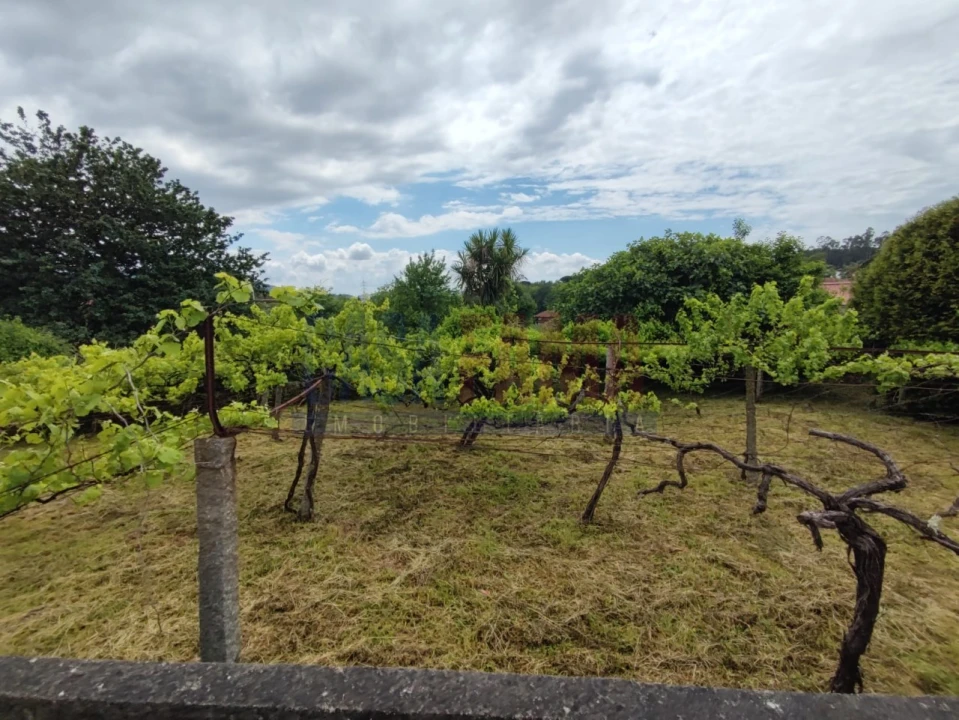 Moradia T2 para Venda em Carreira e Bente Foto 51