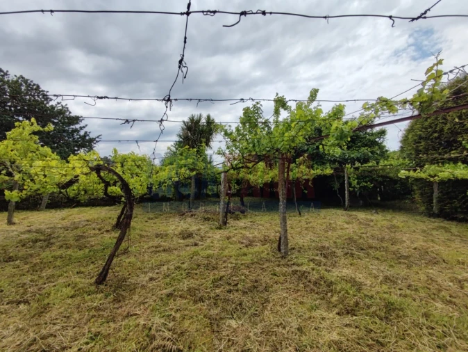 Moradia T2 para Venda em Carreira e Bente Foto 7