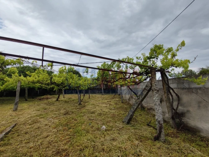 Moradia T2 para Venda em Carreira e Bente Foto 8