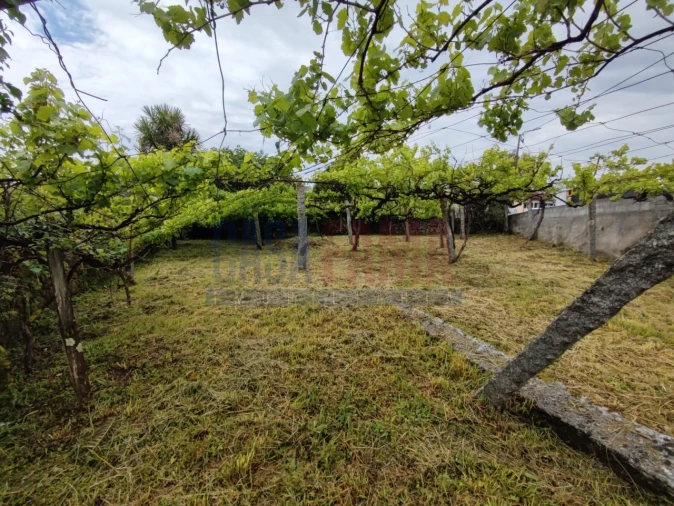 Moradia T2 para Venda em Carreira e Bente Foto 12