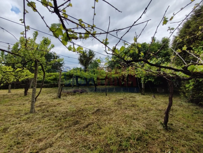 Moradia T2 para Venda em Carreira e Bente Foto 13