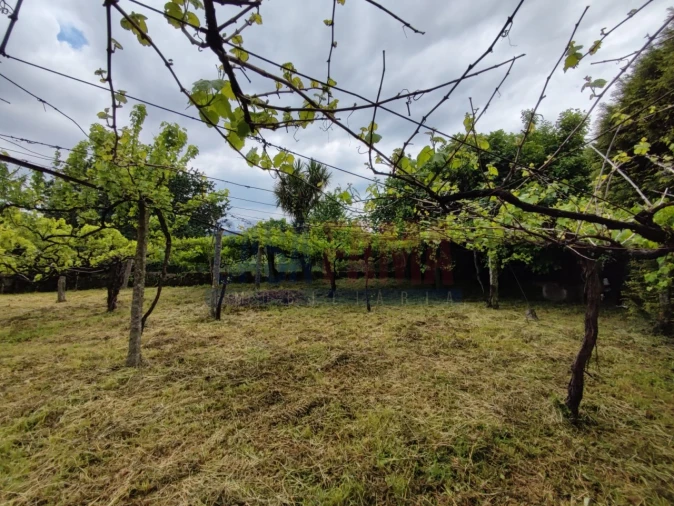 Moradia T2 para Venda em Carreira e Bente Foto 14