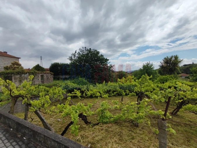 Moradia T2 para Venda em Carreira e Bente Foto 45