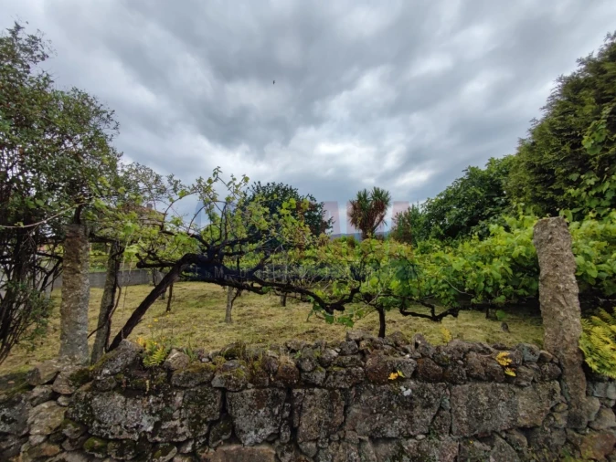 Moradia T2 para Venda em Carreira e Bente Foto 46