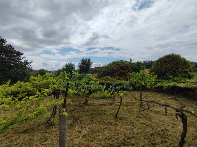 Moradia T2 para Venda em Carreira e Bente Foto 48