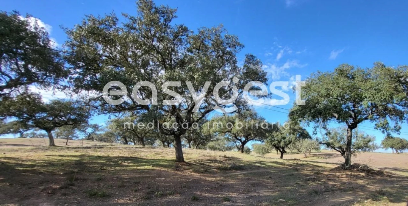 Quinta T2 para Venda em Ourique Foto 28