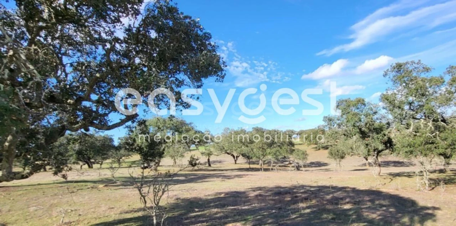 Quinta T2 para Venda em Ourique Foto 29